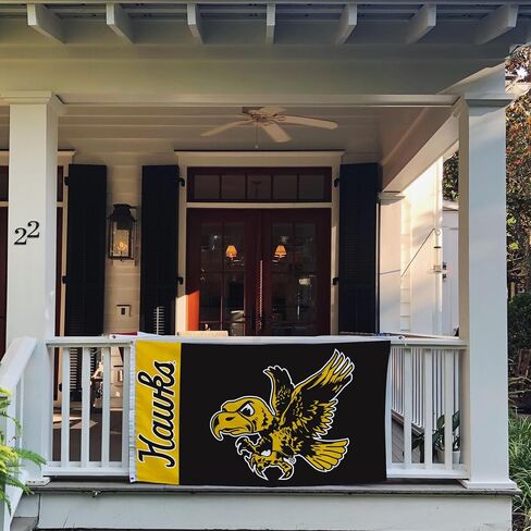 Desert Cactus University of Iowa Flag Hawkeyes Flags Banners 100% Polyester Indoor Outdoor 3x5 (Vintage Team Name) in Saudi Arabia