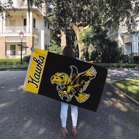 Desert Cactus University of Iowa Flag Hawkeyes Flags Banners 100% Polyester Indoor Outdoor 3x5 (Vintage Team Name) in Saudi Arabia