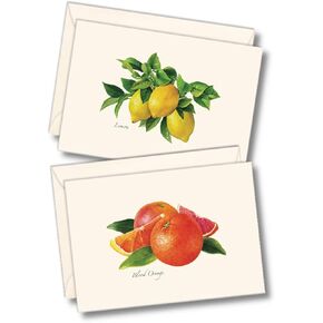 Earth Sky + Water - Citrus Assortment Notecard Set - 8 Blank Cards with Envelopes (4 each of 2 styles)