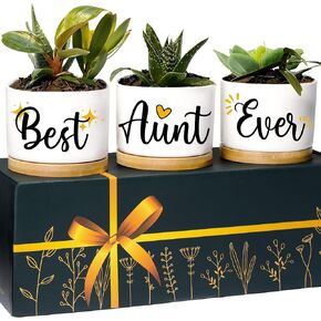 Nurse Planters, Nurse Gifts for Women, RN Gifts for Nurses Week Gifts for Women, for Nurses Week Gifts 2024, School Nurse Appreciation Gifts, Nurse Graduation Gift Ideas, Best Nurse Ever