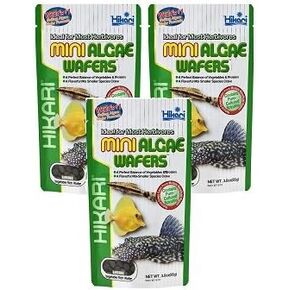 (3 Pack) Hikari Usa Inc Mini Algae Wafers 3 -Ounce each