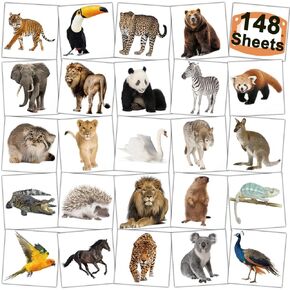 Jungle Animals Temporary Tattoos for Kids Party Supplies - 148 Individually Sheets Safari Animals Tattoos for Boys Girls Animals Birthday Party Favors Goodie Bag Fillers