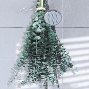 Eucalyptus for Shower Hanging with Dried Eucalyptus Stems for Bathroom Decor, Real Eucalyptus Made from Fresh Leaves, Dried Eucalyptus Arrangement for Home , Wedding, Vase Filler