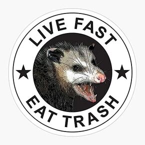 decal Pack of 2 3 Inch Stickers -Eat Fast Live Trash Opossum Possums Awesome Possum - Sticker Graphic - Auto, Wall, Laptop, Cell, Truck Sticker for Windows, Cars, Trucks