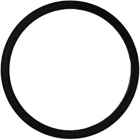 (24201144) Ring, 200-4R Pump Vane (1981-1990)