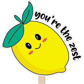 You're The Zest Stickers, Cute Smiley Lemon Stickers,Small Business Stickers,Small Shop Stickers,Thank You Small Business Stickers for Packages, 400 PCS
