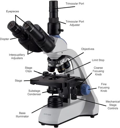 AmScope توفير استثنائي في الحزمة! مجهر مركب ثلاثي العينيات 40X-2500X LED مع مرحلة ميكانيكية ثلاثية الأبعاد بطبقتين، وكاميرا رقمية بدقة 5 ميجابكسل ومجموعة البقع الحيوية للخلايا الحية in Saudi Arabia