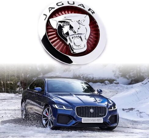 Emblem Compatible with Jagvar XE XF XJ F-Type F-PACE Front Center Grille Emblem 3.38inch Car Badge Emblem Leopard Jagvar Accessories(Front Emblem Red-Chrome) in Saudi Arabia