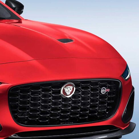 Emblem Compatible with Jagvar XE XF XJ F-Type F-PACE Front Center Grille Emblem 3.38inch Car Badge Emblem Leopard Jagvar Accessories(Front Emblem Red-Chrome) in Saudi Arabia