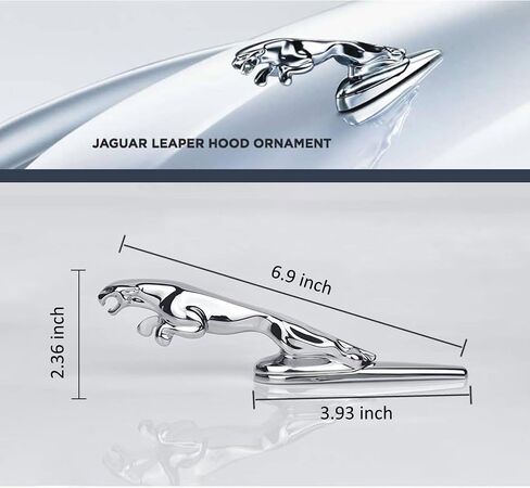Emblem Compatible with Jagvar XE XF XJ F-Type F-PACE Front Center Grille Emblem 3.38inch Car Badge Emblem Leopard Jagvar Accessories(Front Emblem Red-Chrome) in Saudi Arabia