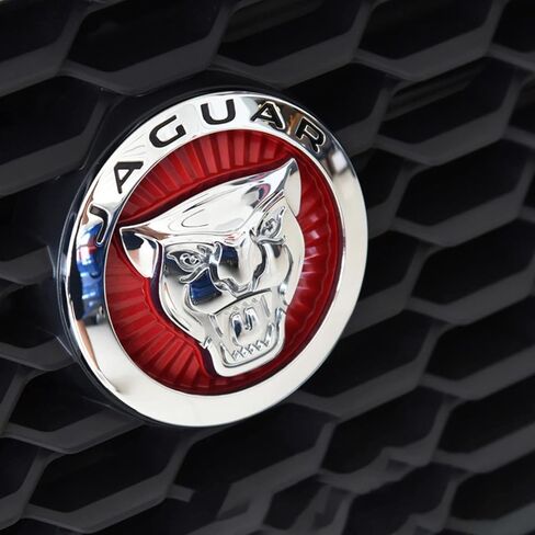 Emblem Compatible with Jagvar XE XF XJ F-Type F-PACE Front Center Grille Emblem 3.38inch Car Badge Emblem Leopard Jagvar Accessories(Front Emblem Red-Chrome) in Saudi Arabia