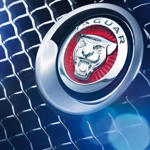 Emblem Compatible with Jagvar XE XF XJ F-Type F-PACE Front Center Grille Emblem 3.38inch Car Badge Emblem Leopard Jagvar Accessories(Front Emblem Red-Chrome) in Saudi Arabia