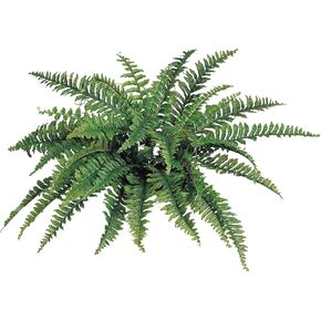 Artificial Boston Fern Plant with 42 Lifelike Green Silk Fronds | 34" Wide | UV Resistant | Indoor/Outdoor Use | Faux Greenery | Patio & Garden | Home & Office Decor in Saudi Arabia