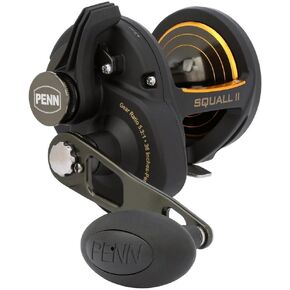 PENN Squall II Lever Drag Fishing Reel, Size 40, Graphite Body and Sideplates, Stainless Steel Main and Pinion Gears, Powerful PENN Dura-Drag
