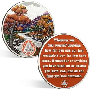 6 Month Sobriety Coin 180 Day Sobriety Chip Six Month AA Coins Recovery Medallions Sobriety Gifts for Men Women Alcoholics Anonymous Gift with Capsule, Display & Card