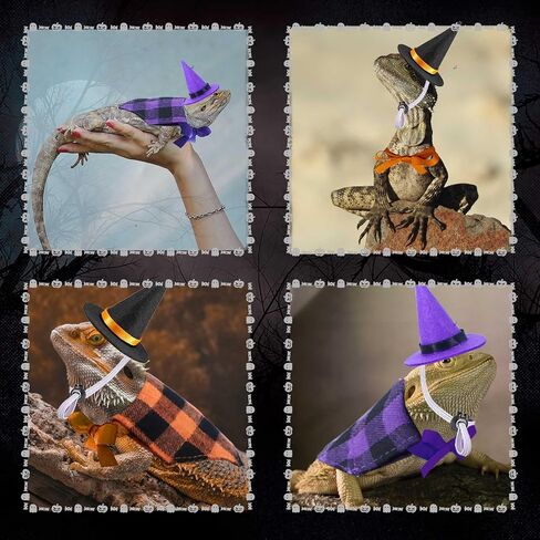 4 قطع أزياء الهالوين التنين الملتحي السحلية قبعات الهالوين عصابات الهالوين أزياء السحلية للفراخ الببغاء الهامستر خنزير غينيا الحيوانات الصغيرة in Kuwait