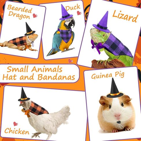 4 قطع أزياء الهالوين التنين الملتحي السحلية قبعات الهالوين عصابات الهالوين أزياء السحلية للفراخ الببغاء الهامستر خنزير غينيا الحيوانات الصغيرة in Kuwait