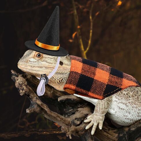 4 قطع أزياء الهالوين التنين الملتحي السحلية قبعات الهالوين عصابات الهالوين أزياء السحلية للفراخ الببغاء الهامستر خنزير غينيا الحيوانات الصغيرة in Kuwait