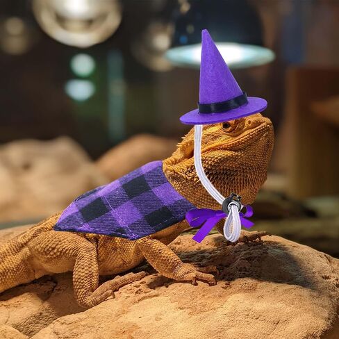 4 قطع أزياء الهالوين التنين الملتحي السحلية قبعات الهالوين عصابات الهالوين أزياء السحلية للفراخ الببغاء الهامستر خنزير غينيا الحيوانات الصغيرة in Kuwait