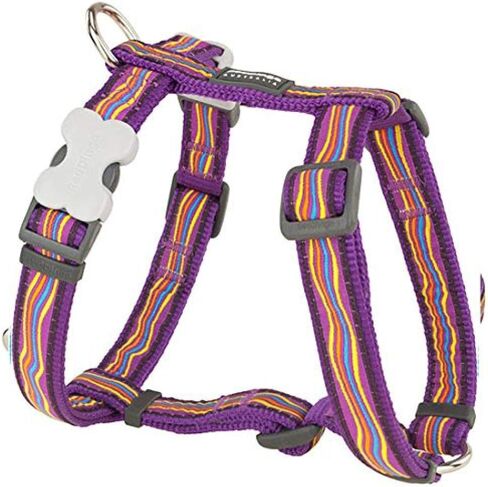Red Dingo Dog Harness - Paw Impressions in Saudi Arabia