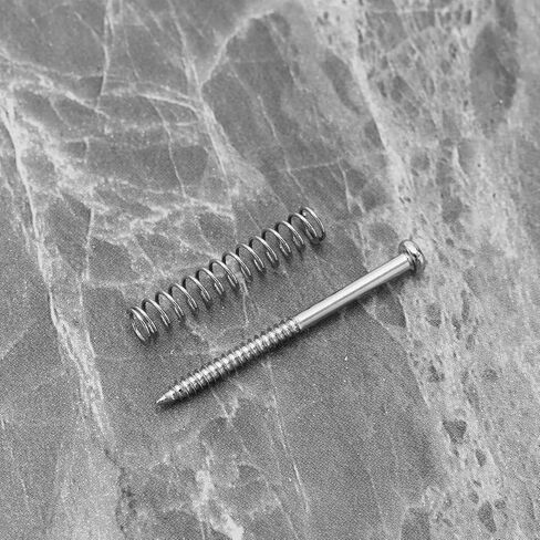 The Lord of the Tools 20 Sets Pickup Mounting Screws Pickup Springs Kit for Electric Guitar Musical Instruments Replacement Accessories Silver in Saudi Arabia