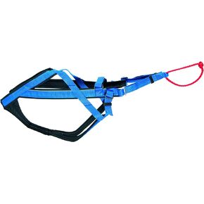 Neewa Adjustable Racing Harness (X-Large, Blue) - Ideal for Dog Pull with Bike, Skateboard, Rollerblade, Cart, Canicross