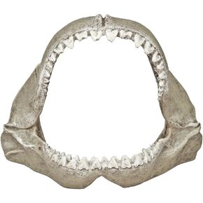 Exotic Environments Great White Shark Jaws, Small, 6-Inch by 3-1/2-Inch by 5-Inch