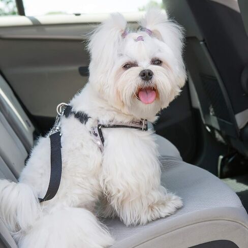 |4-Pack| PET Palace Adjustable Nylon Pet Dog Cat Car Seat Belt Safety Leash Leads Vehicle Seat Belt Harness, APL1775 in Saudi Arabia