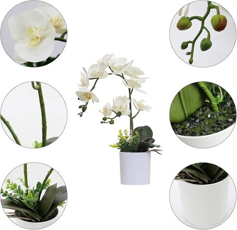 Omygarden White Orchid Artificial Flowers in Pot, Fake Plastic Orchid Flowers, Decoration for Home Office Wedding(White 2 Bouquets) in Saudi Arabia