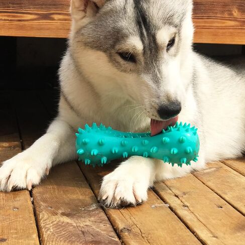 lifein Dog Chew Toy - 2 Pack Squeaky Toothbrush Durable Rubber Dog Toys for Teeth Cleaning, Tough Dog Toys for Aggressive Chewers Puppy/Medium/Large Dog Breeds Dental Care in Saudi Arabia