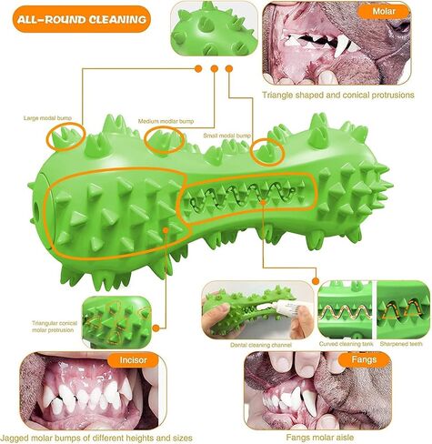 lifein Dog Chew Toy - 2 Pack Squeaky Toothbrush Durable Rubber Dog Toys for Teeth Cleaning, Tough Dog Toys for Aggressive Chewers Puppy/Medium/Large Dog Breeds Dental Care in Saudi Arabia