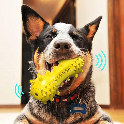 lifein Dog Chew Toy - 2 Pack Squeaky Toothbrush Durable Rubber Dog Toys for Teeth Cleaning, Tough Dog Toys for Aggressive Chewers Puppy/Medium/Large Dog Breeds Dental Care in Saudi Arabia