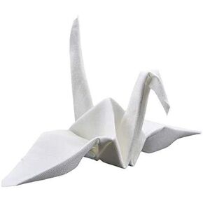 SUMAG Origamagic Magic Trick - Magic Origami Paper for Kids - Scarves to Paper Crane Trick for Magician (Red)