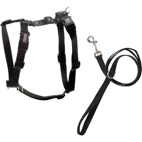 Blue-9 Pet Products No-Pull Balance Harness and Loose Leash Walking Set Dogs, Made in The USA, Blue, Large