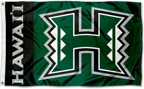 College Flags & Banners Co. Hawaii Warriors Rainbows University Large College Flag in Saudi Arabia