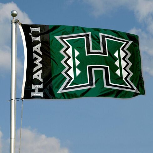 College Flags & Banners Co. Hawaii Warriors Rainbows University Large College Flag in Saudi Arabia