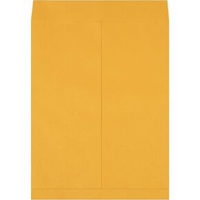 BFEN1084 Jumbo Envelopes, 17" x 22", Kraft (Pack of 100)