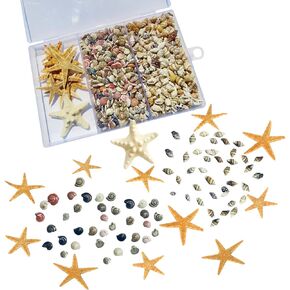 700pcs Natural Sea Shells Mixed Starfish Conch Beach Snail Shells Suitable for Beach Theme Parties, Hand Decor Making, Candle Making, Photo Frame Decoration, Fish Tank and Vase Fillers