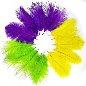 Colorful Nature Feathers 5.9-7.87 Inch Assorted Bulk Mardi Gras Ostrich Feather DIY Craft for Party Decorations Carnival Costume Decoration (15Pieces)
