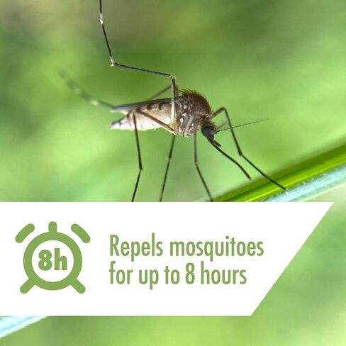 الجذعية يطرد البعوض والقراد، طارد البعوض ورذاذ القراد، رذاذ الحشرات بيكاريدين، خالي من العطور، 6 أونصة in Kuwait