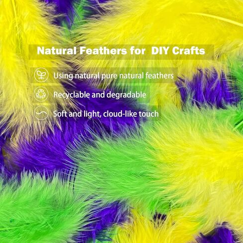 300 قطعة من ريش الطبيعة الملون من ماردي غرا مقاس 3-5 بوصات من الريش السائب المتنوع لتزيين حفلات الحرف اليدوية DIY زي الكرنفال، ديكور حفلات الزفاف in Kuwait