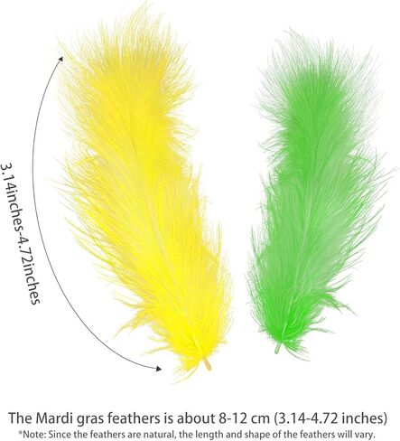 300 قطعة من ريش الطبيعة الملون من ماردي غرا مقاس 3-5 بوصات من الريش السائب المتنوع لتزيين حفلات الحرف اليدوية DIY زي الكرنفال، ديكور حفلات الزفاف in Kuwait