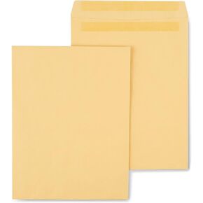 Staples 534818 Self Seal Catalog Envelopes 10-Inch L X 13-Inch H Brown 100/Bx (534818/19022)