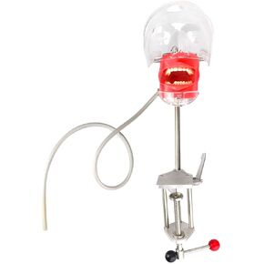 Dental Simulator Manikin Phantom Head Plastic Educational Teeth Model with Bench Mount for Education Fix on Dental Chair Type