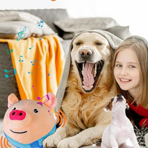 لعبة تفاعلية متحركة للحيوانات الأليفة - كرة للكلاب تصدر صوت صرير، خنزير كرتوني قابل للغسل، لعبة إلكترونية للكلاب بصوت اهتزاز واهتزاز - حركة تدحرج تلقائية للكلاب النشطة. in Kuwait