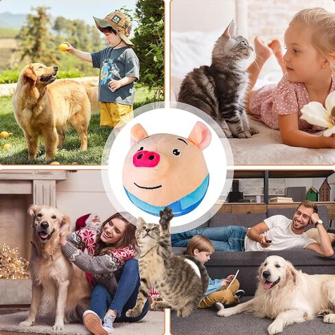 لعبة تفاعلية متحركة للحيوانات الأليفة - كرة للكلاب تصدر صوت صرير، خنزير كرتوني قابل للغسل، لعبة إلكترونية للكلاب بصوت اهتزاز واهتزاز - حركة تدحرج تلقائية للكلاب النشطة. in Kuwait