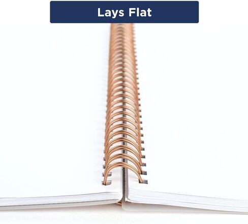 Cambridge 2025 Planner, Weekly & Monthly, 8-1/2" x 11", Large, Mina (1134-905-25) in Kuwait