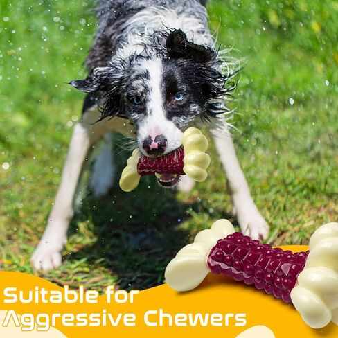 ألعاب الكلاب من راموليتي للمضغ العدواني، عظمة مضغ غير قابلة للتدمير مع نكهة لحم الخنزير المقدد للكلاب الكبيرة ذات السلالات المتوسطة in Kuwait