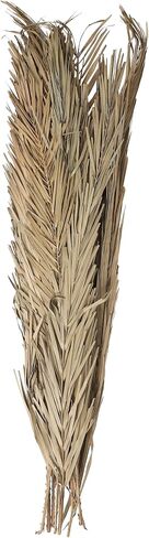 Deco 79 Dried Plant Palm Leaves Natural Foliage Tall , 4" x 1" x 43", Light Brown in Saudi Arabia