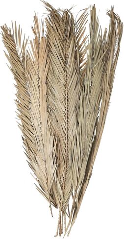 Deco 79 Dried Plant Palm Leaves Natural Foliage Tall , 4" x 1" x 43", Light Brown in Saudi Arabia